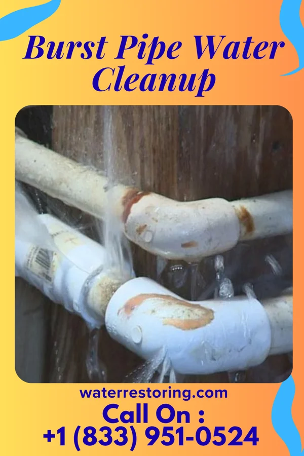 Burst Pipe Water Cleanup in Strodes Mills, PA
