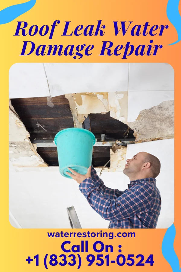 Roof Leak Water Damage Repair in Strodes Mills, PA