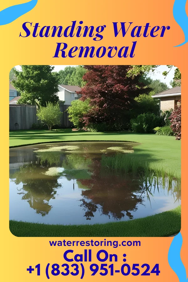 Standing Water Removal in Strodes Mills, PA